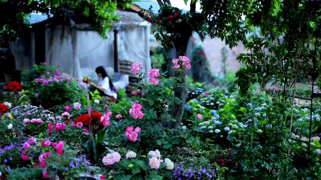 Cuộc sống trong mơ triệu người ao ước của thiếu nữ bên vườn cây hoa lá đẹp như trong chuyện cổ tích - Ảnh 31.