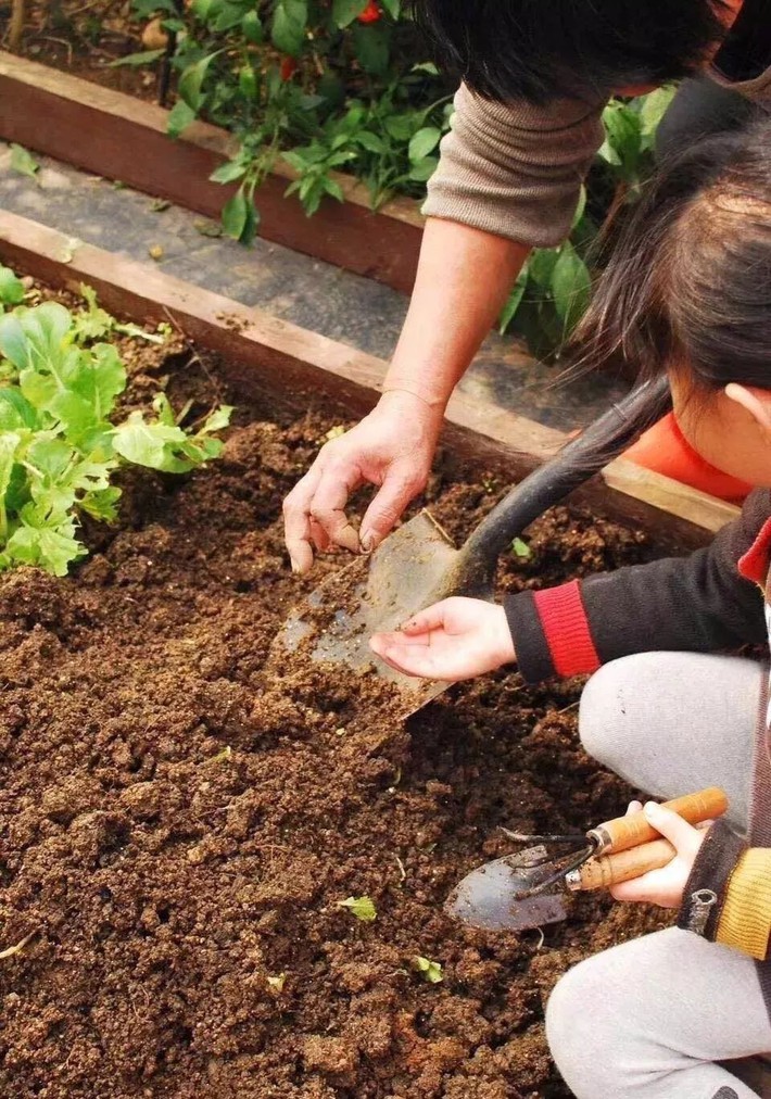 Bà mẹ đơn thân cùng con gái 5 tuổi dành trọn hai năm để biến sân thượng thành khu vườn đẹp như cổ tích - Ảnh 10.