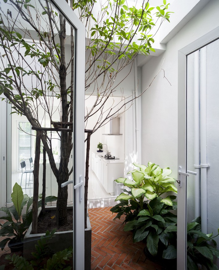 Ngôi nhà ống an yên với khu vườn bonsai khiến ai nhìn cũng ước ao - Ảnh 5.