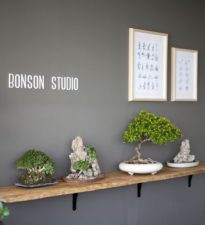 Ngôi nhà ống an yên với khu vườn bonsai khiến ai nhìn cũng ước ao - Ảnh 14.