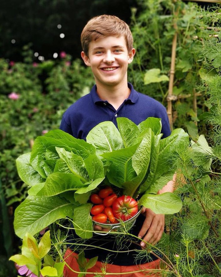 Vườn rau nhỏ đủ loại tươi tốt của chàng trai 18 tuổi đam mê trồng trọt - Ảnh 4.
