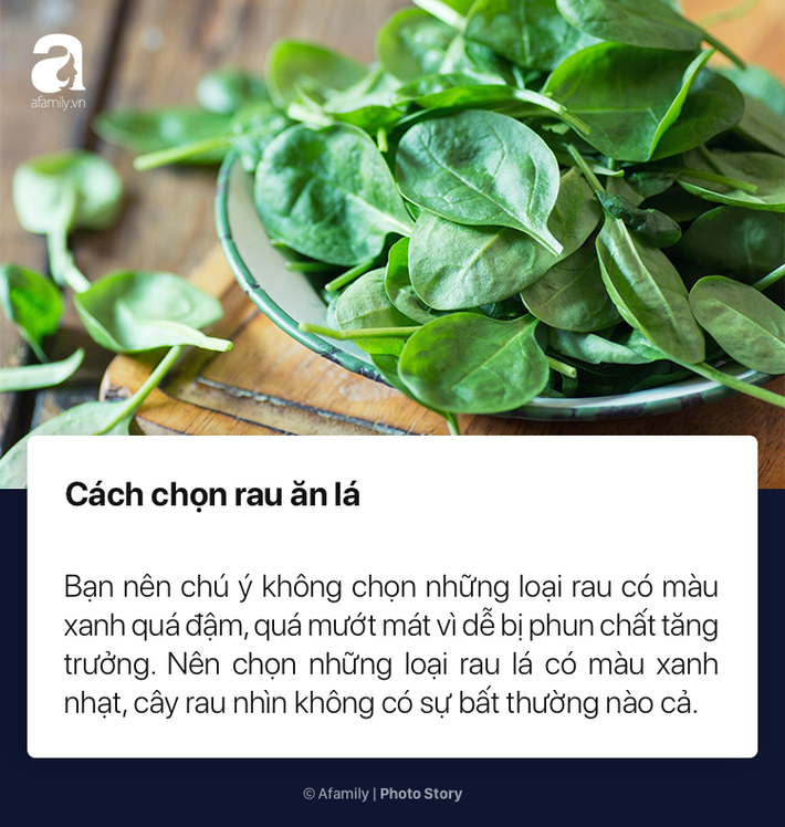 To nhỏ cho chị em mới lần đầu đi chợ cách chọn rau củ quả tươi ngon không dính hóa chất cực kỳ đơn giản - Ảnh 4.