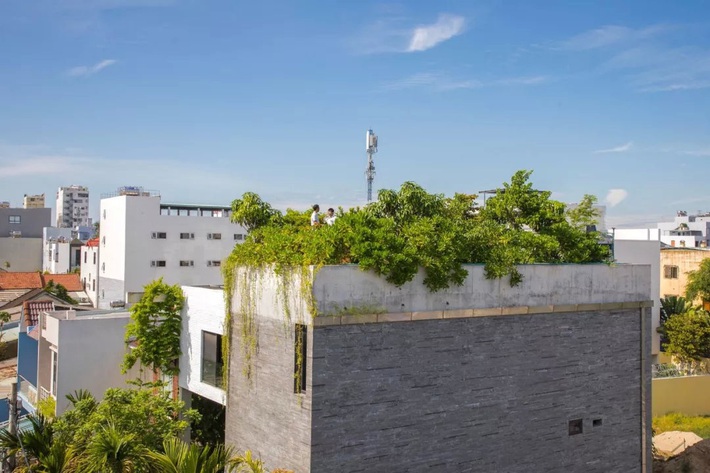 Ngôi nhà đầy gió tự nhiên, cây xanh và ánh sáng thân thiện với môi trường dành cho gia đình 5 người ở Đà Nẵng - Ảnh 15.