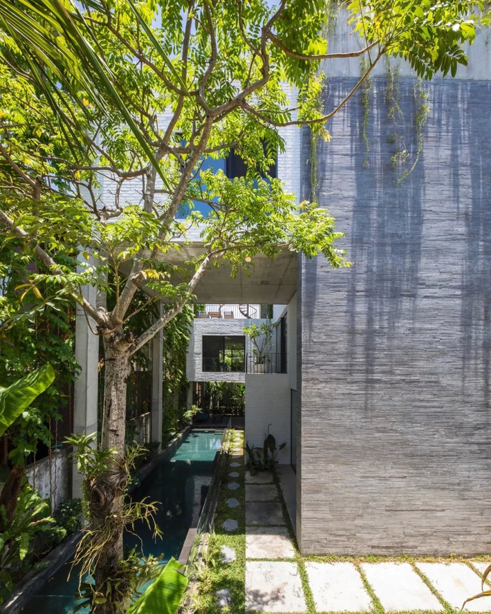Ngôi nhà đầy gió tự nhiên, cây xanh và ánh sáng thân thiện với môi trường dành cho gia đình 5 người ở Đà Nẵng - Ảnh 1.