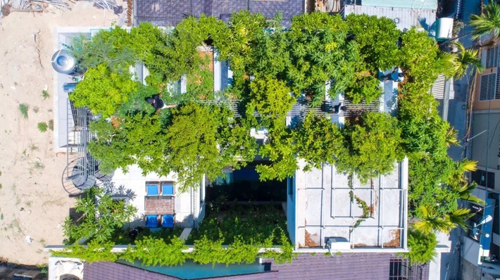 Ngôi nhà đầy gió tự nhiên, cây xanh và ánh sáng thân thiện với môi trường dành cho gia đình 5 người ở Đà Nẵng - Ảnh 2.