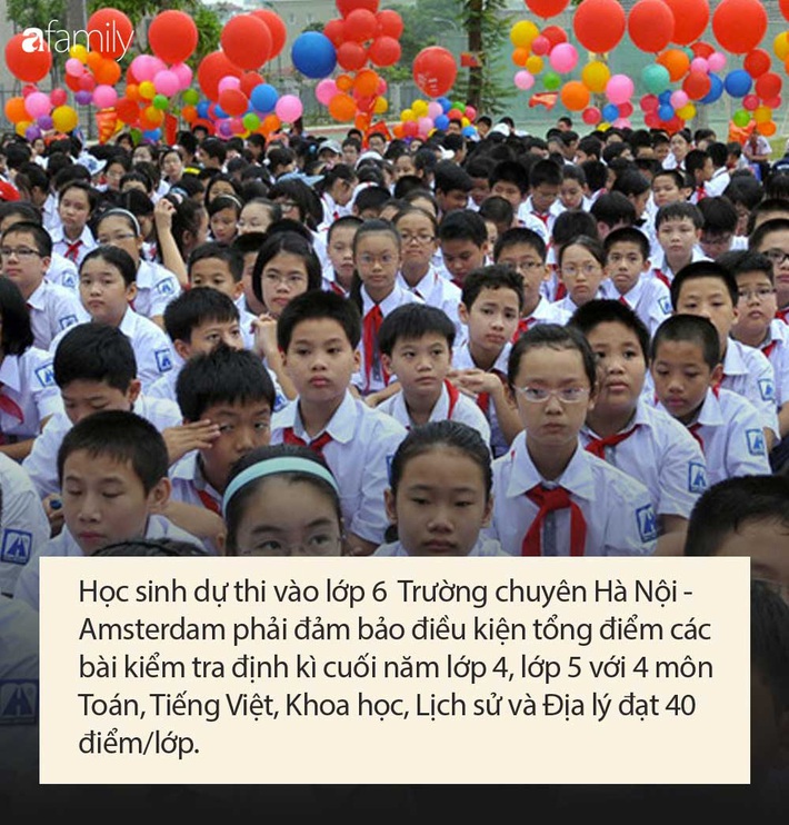 Điều kiện dự thi vào lớp 6 Trường THPT chuyên Hà Nội - Amsterdam, bố mẹ cân nhắc trước khi quyết định cho con theo học - Ảnh 5.
