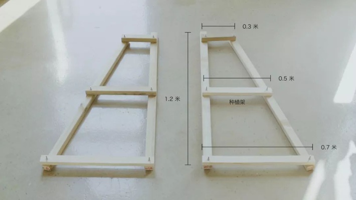 Chỉ vài thao tác đơn giản, bạn có thể tự tạo một vườn rau gia vị xanh tốt trong bếp - Ảnh 3.