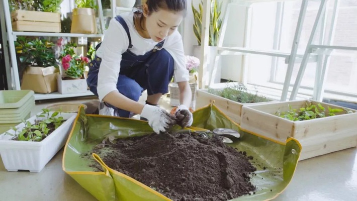 Chỉ vài thao tác đơn giản, bạn có thể tự tạo một vườn rau gia vị xanh tốt trong bếp - Ảnh 8.