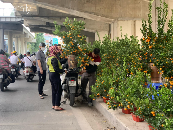 Nhà ga đường sắt trên cao chưa đi vào hoạt động đã thành chợ buôn bán cây cảnh Tết - Ảnh 6.