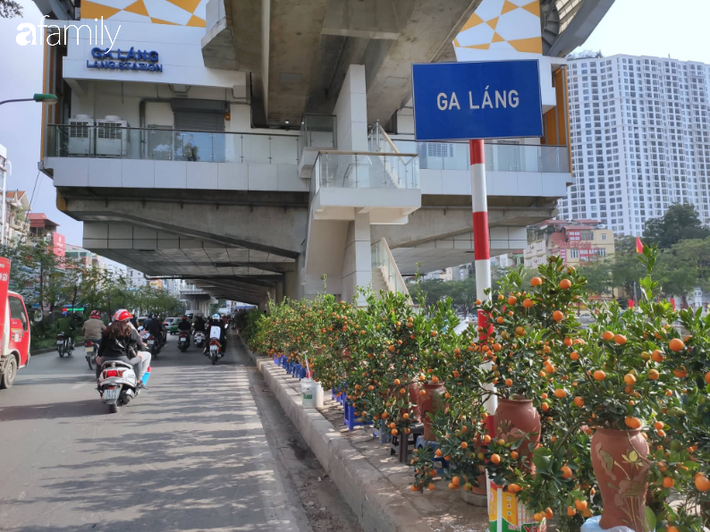 Nhà ga đường sắt trên cao chưa đi vào hoạt động đã thành chợ buôn bán cây cảnh Tết - Ảnh 10.