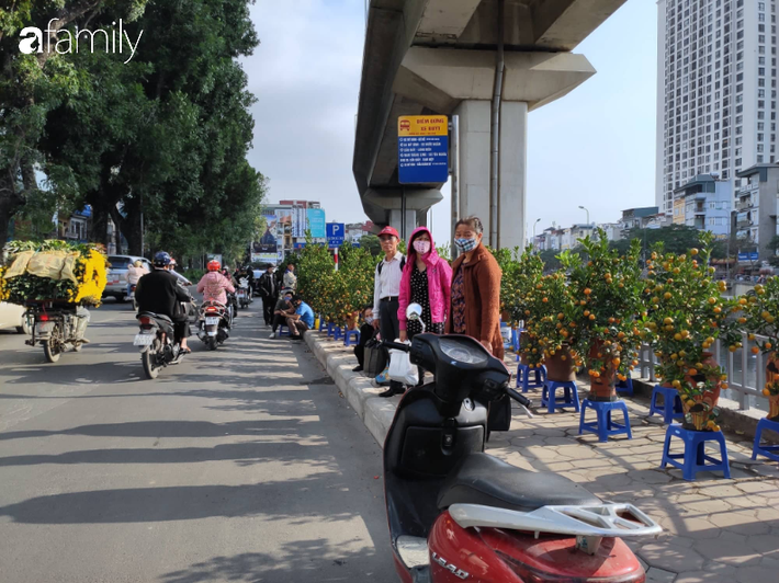 Nhà ga đường sắt trên cao chưa đi vào hoạt động đã thành chợ buôn bán cây cảnh Tết - Ảnh 13.