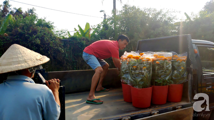 Vợ “chết trên tay chồng” khi đi lấy hoa Tết và cái kết có hậu được tạo ra bởi tấm lòng người Sài Gòn - Ảnh 4.