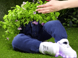 4 ý tưởng tận dùng đồ cũ để trang trí khiến khu vườn của bạn trở nên sống động hơn bao giờ hết