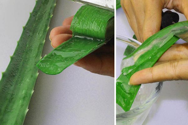 Nha đam rất tốt cho cơ thể nhưng nếu không biết hoặc chế biến sai cách, sẽ "lợi bất cập hại" - Ảnh 2.