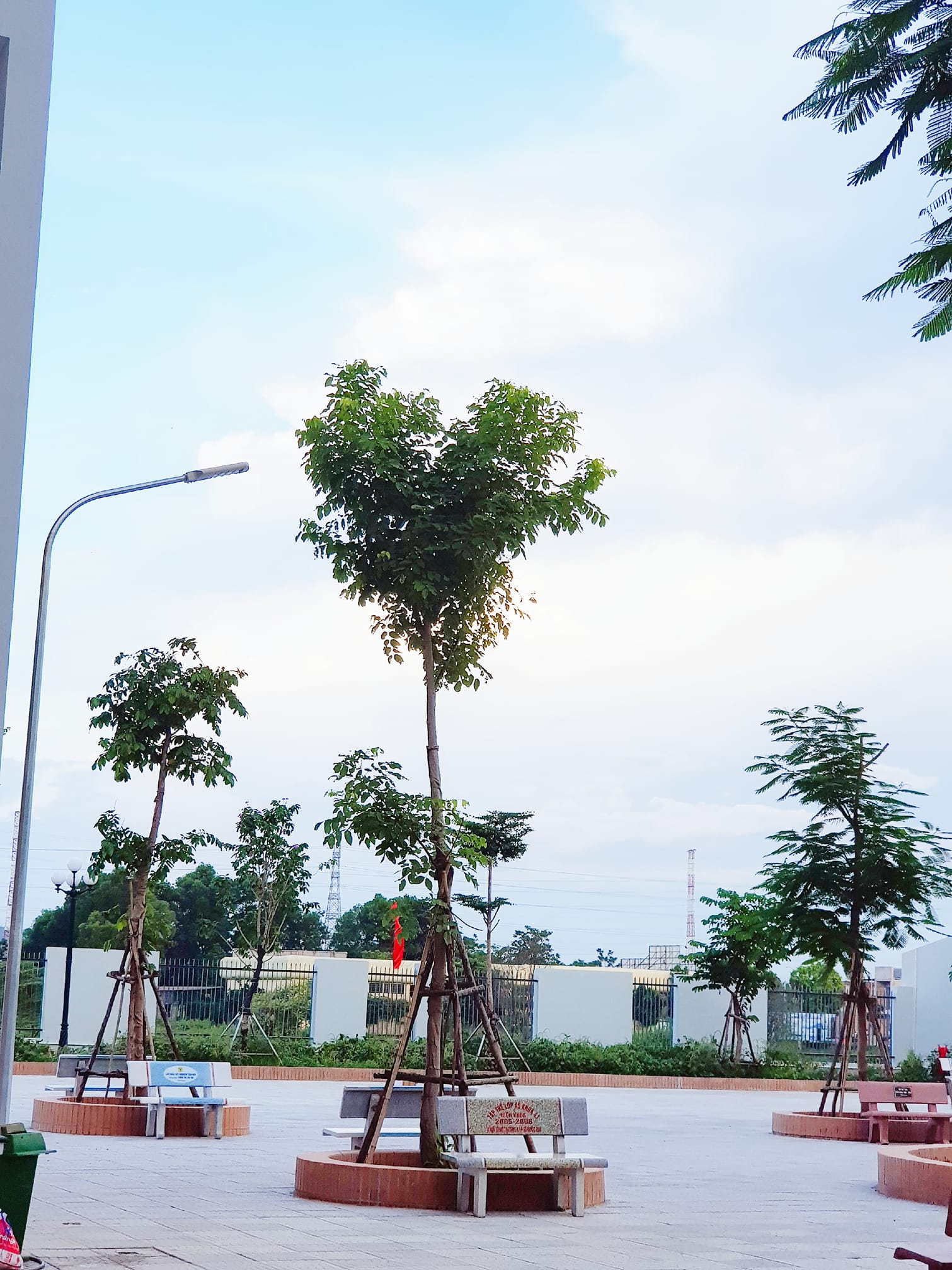 Chùm ảnh &quot;cây trong trường cũng muốn cà khịa hội FA&quot; đang được dân tình khắp nơi share điên đảo chỉ vì chi tiết đặc biệt này - Ảnh 4.