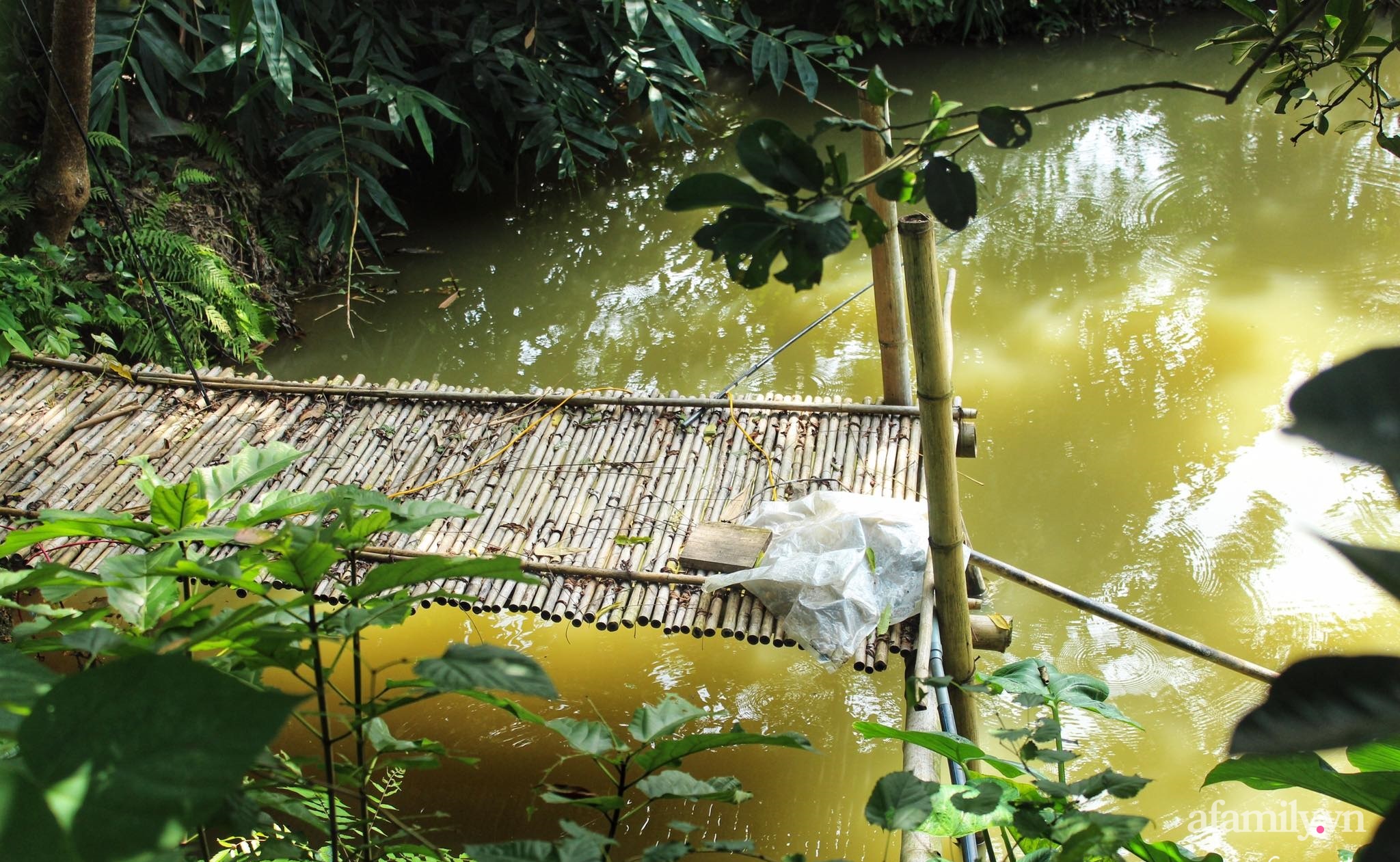 Cô gái trẻ bỏ Hà Nội phố về quê trồng rau nuôi cá, tạo không gian xanh sống cuộc đời an lành - Ảnh 10.