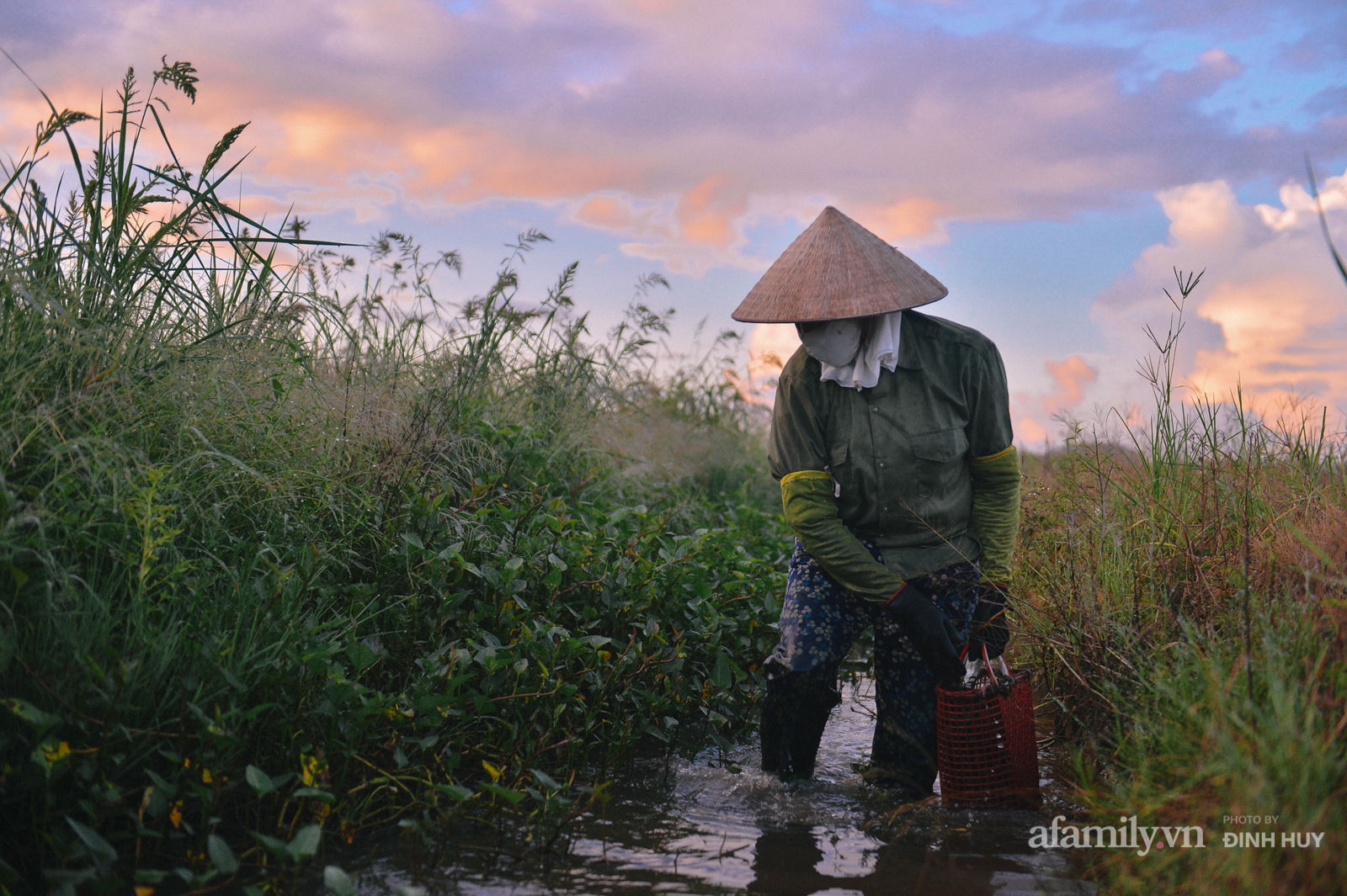 Cho con đậu Đại học, nuôi chồng tai nạn, nuôi trái tim bệnh tật, "gánh cả giang sơn" bằng cái làn bắt ốc - Ảnh 5.