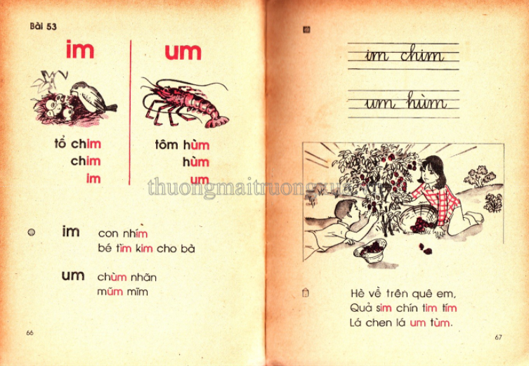 Cần gì truyện ngụ ngôn La Phông-ten hay Lép Tônxtôi, sách Tiếng Việt cũ toàn những bài thơ "cây nhà lá vườn" mà ai cũng mê đến tận bây giờ  - Ảnh 20.