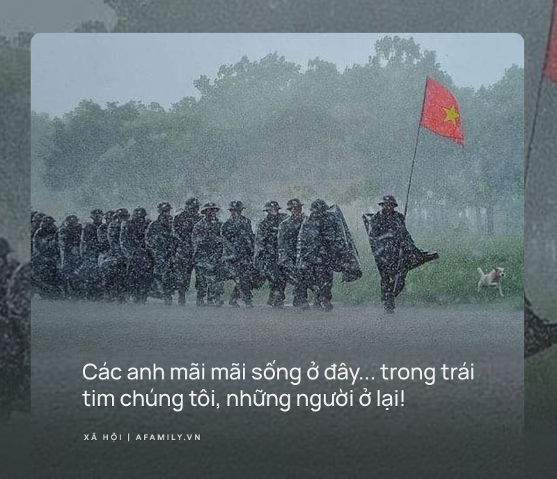 Dành cho 13 ngôi sao được Rào Trăng ôm vào lòng! - Ảnh 5. Dành cho 13 ngôi sao được Rào Trăng ôm vào lòng! - Ảnh 5.