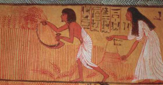 Vài sự thật hay ho về Ai Cập cổ đại: Khám thai bằng hạt lúa, quẩy khỏa thân và trả lương bằng bia - Ảnh 1.