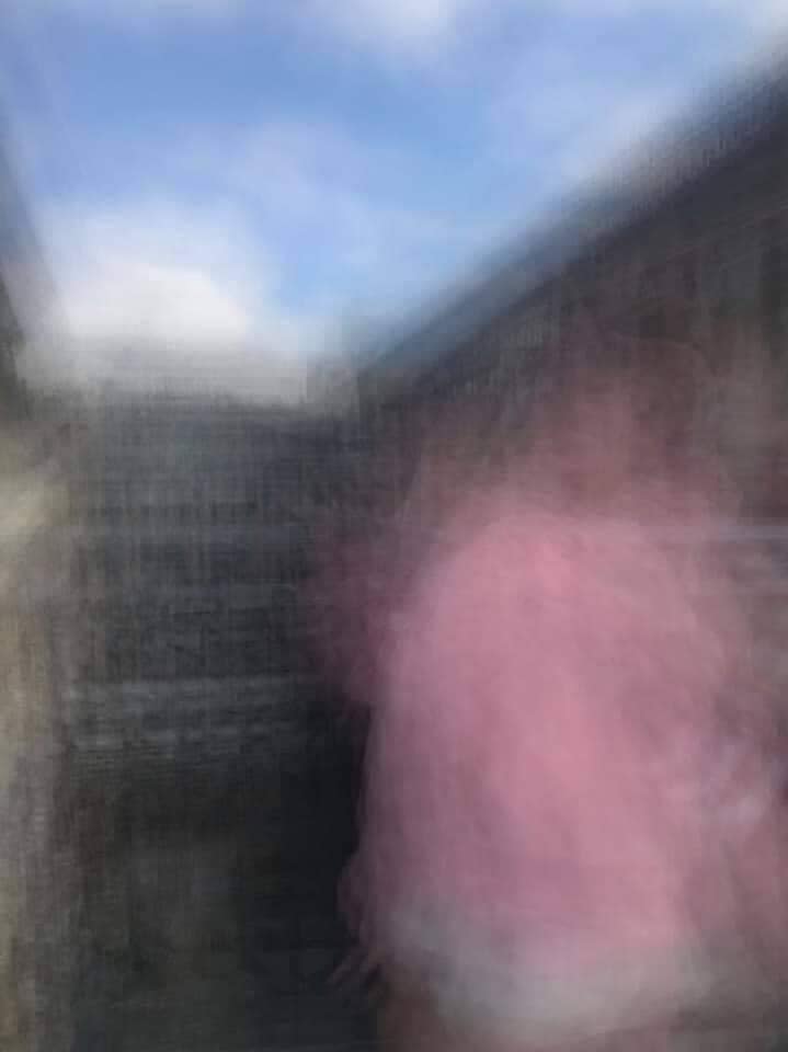 C&ocirc; g&aacute;i kh&ocirc;ng ngại lăn l&ecirc; b&ograve; xo&agrave;i chụp ảnh cực c&oacute; t&acirc;m cho bạn th&acirc;n v&agrave; c&aacute;i kết "sang chấn t&acirc;m l&yacute;" khi được chụp lại! - Ảnh 24.