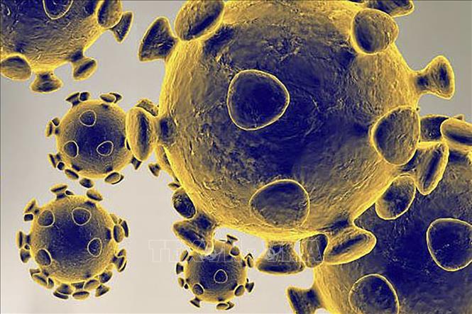 Nghiên cứu mới về thời gian virus SARS-CoV-2 tồn tại trên da người - Ảnh 1.
