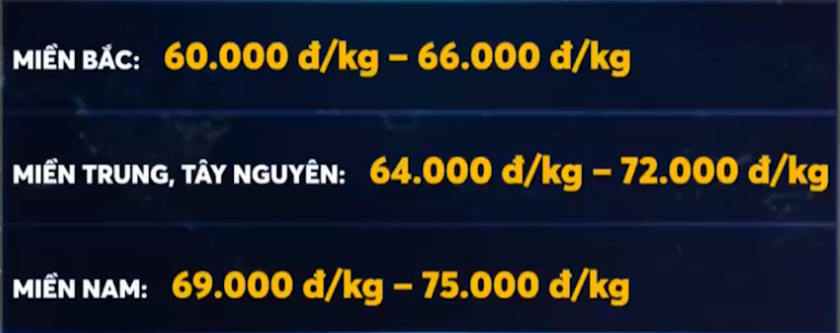 - Ảnh 1. - Ảnh 1.