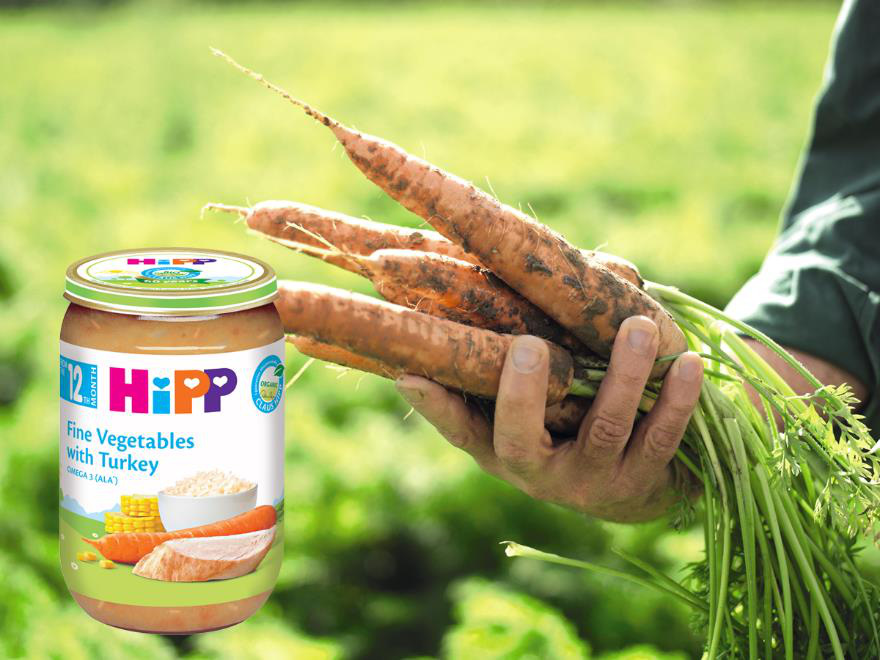 Chuyện củ cà rốt hữu cơ (organic): món ăn dặm đầu tiên phổ biến của trẻ em Châu Âu - Ảnh 6.