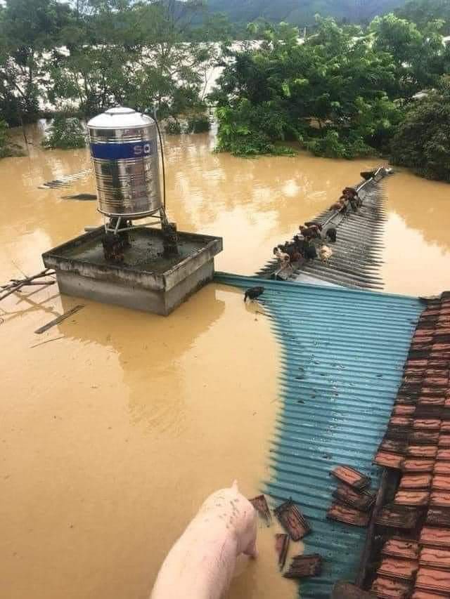Nghệ An: Đã có 2 người mất tích sau mưa lũ - Ảnh 1. Nghệ An: Đã có 2 người mất tích sau mưa lũ - Ảnh 1.