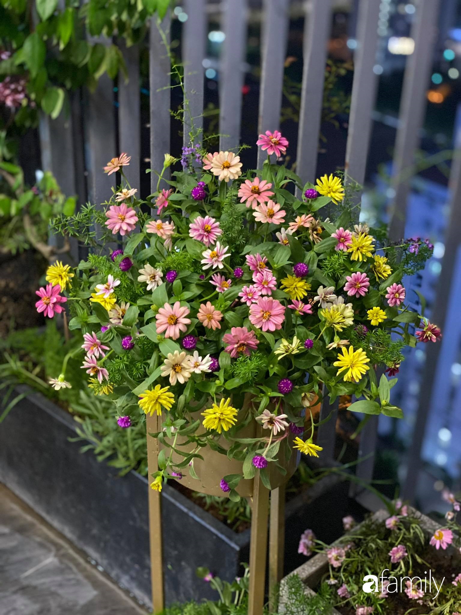 Ban công căn hộ thông tầng đẹp lãng mạn với cây và hoa ở Hà Nội - Ảnh 16.