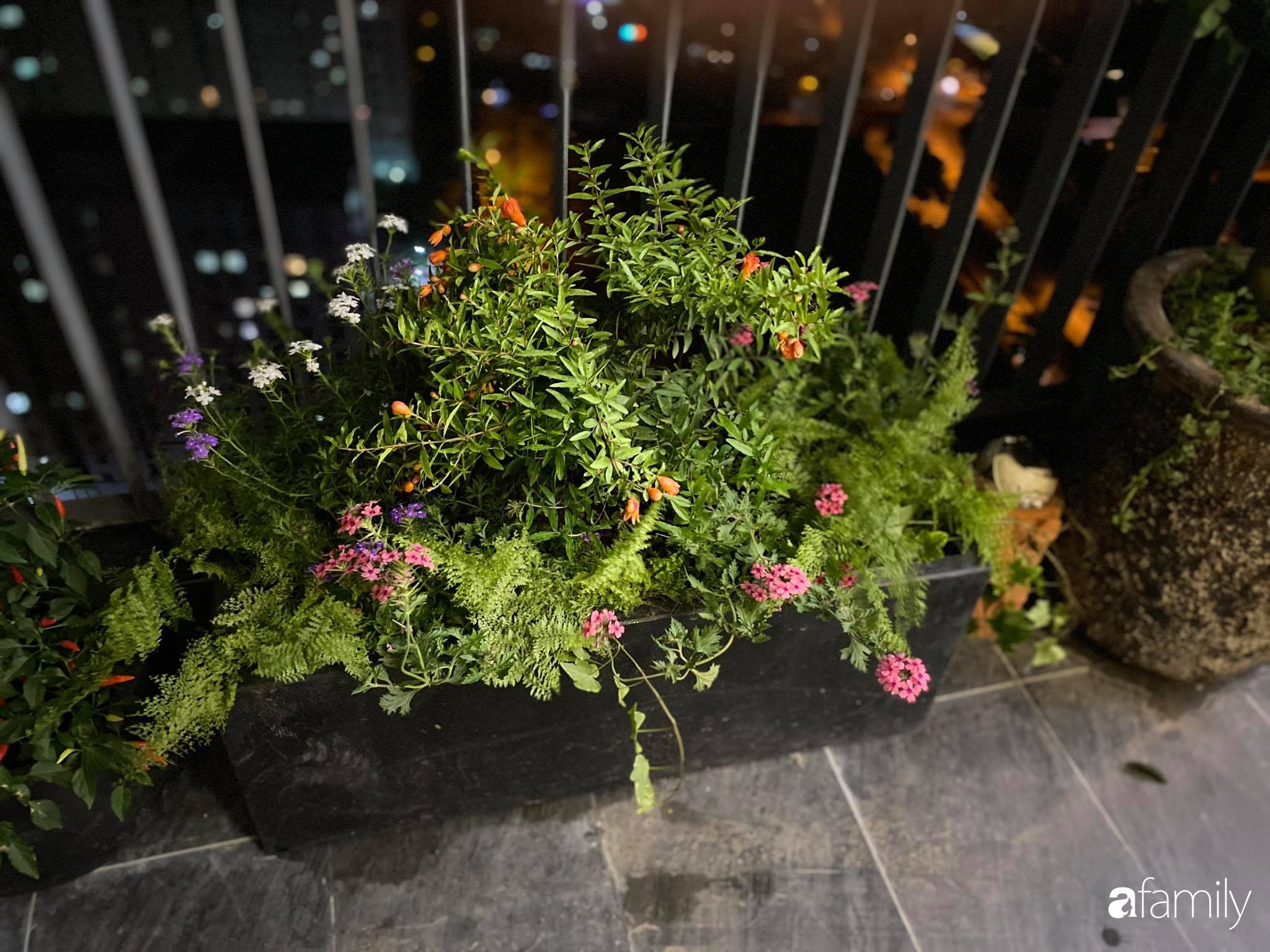 Ban công căn hộ thông tầng đẹp lãng mạn với cây và hoa ở Hà Nội - Ảnh 12.