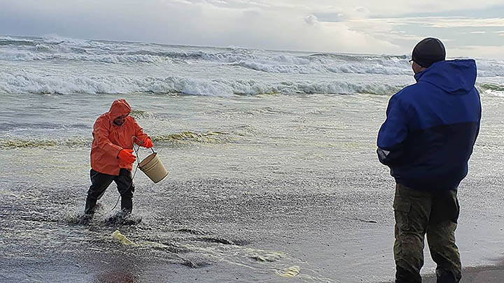 Thảm họa Kamchatka - Nga: Gần như tất cả sự sống dưới đáy biển bị xóa sổ - Ảnh 4.