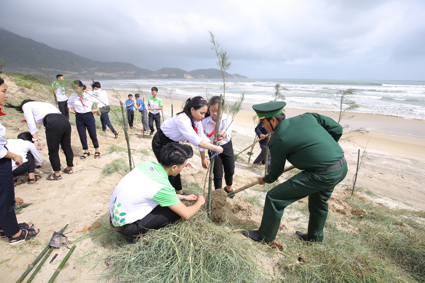 Hành trình trồng 1 triệu cây xanh cho Việt Nam sẽ cán đích trong năm 2020 - Ảnh 1.