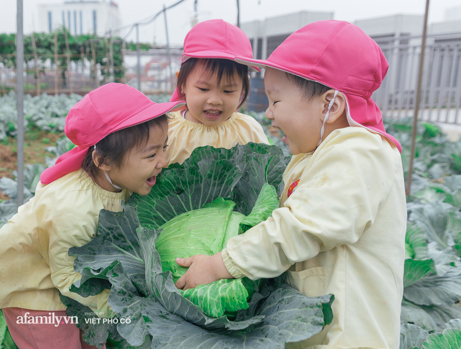 Minh Triết: Giải mã 2 từ “đắt giá” làm nên ngôi trường phong cách Nhật Bản tại Hà Nội có phương pháp giáo dục nhiều cha mẹ Việt ngưỡng mộ - Ảnh 4.