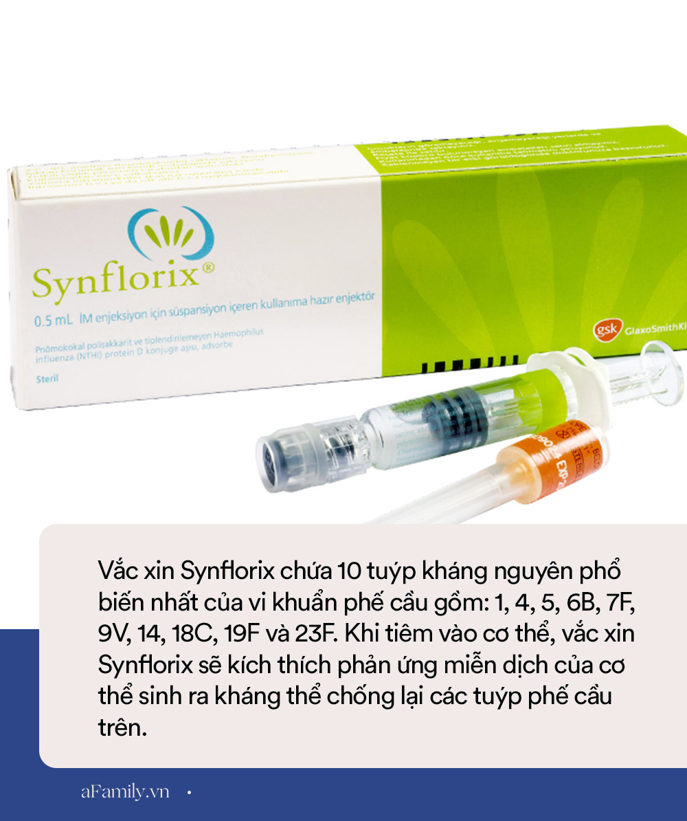 Nhiều mẹ lên mạng hỏi nên tiêm cho con vắc xin phế cầu của Anh hay Bỉ, thay vì chọn bừa thì các mẹ nên biết 2 loại này khác nhau thế nào? - Ảnh 3.