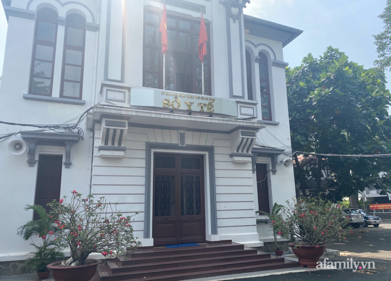 B&aacute;c sĩ Hồ Phi Nhạn bị Sở Y tế B&igrave;nh Thuận tước chứng chỉ h&agrave;nh nghề thẩm mỹ cấp sai quy định - Ảnh 3.