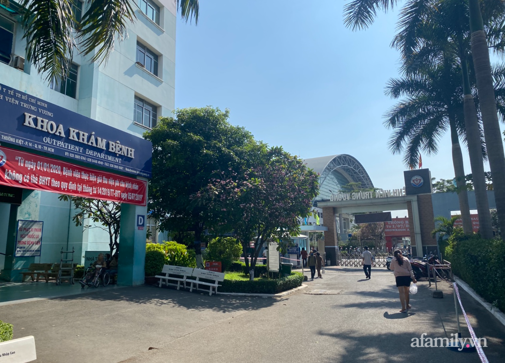 B&aacute;c sĩ Hồ Phi Nhạn bị Sở Y tế B&igrave;nh Thuận tước chứng chỉ h&agrave;nh nghề thẩm mỹ cấp sai quy định - Ảnh 2.