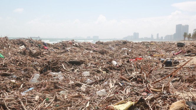 Kinh hãi với những núi rác khổng lồ trên bãi biển Đà Nẵng sau bão - Ảnh 3.