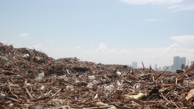 Kinh hãi với những núi rác khổng lồ trên bãi biển Đà Nẵng sau bão - Ảnh 7.