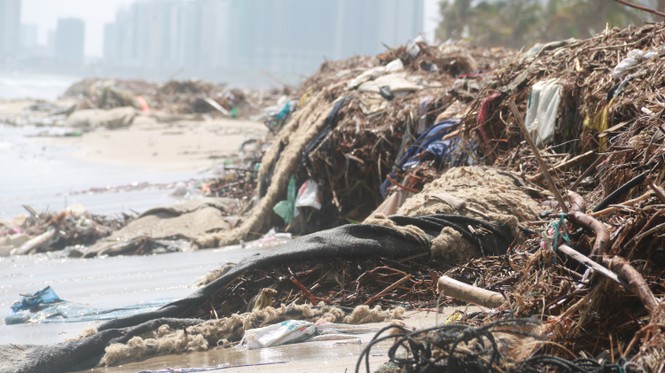 Kinh hãi với những núi rác khổng lồ trên bãi biển Đà Nẵng sau bão - Ảnh 8.
