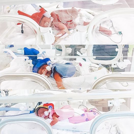 Đã có 6 con nhưng vẫn chưa thỏa lòng, bà mẹ quyết định sinh thêm lần nữa, nhìn bức ảnh gia đình ai cũng choáng váng Đã có 6 con nhưng vẫn chưa thỏa lòng, bà mẹ quyết định sinh thêm lần nữa, nhìn bức ảnh gia đình ai cũng choáng váng