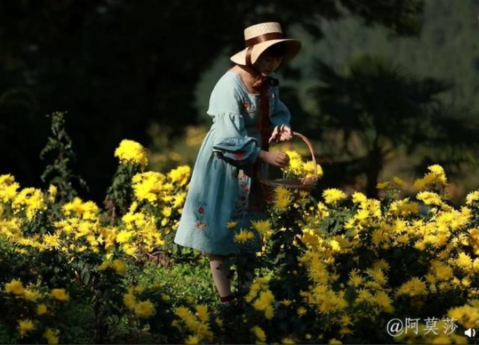 Cô gái trẻ bỏ phố về sống những ngày đẹp như mộng khi cải tạo mảnh đất trên núi thành khu vườn ngập tràn sắc hoa - Ảnh 14.