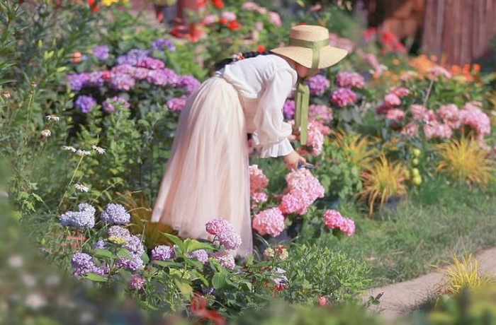 Cô gái trẻ bỏ phố về sống những ngày đẹp như mộng khi cải tạo mảnh đất trên núi thành khu vườn ngập tràn sắc hoa - Ảnh 3.
