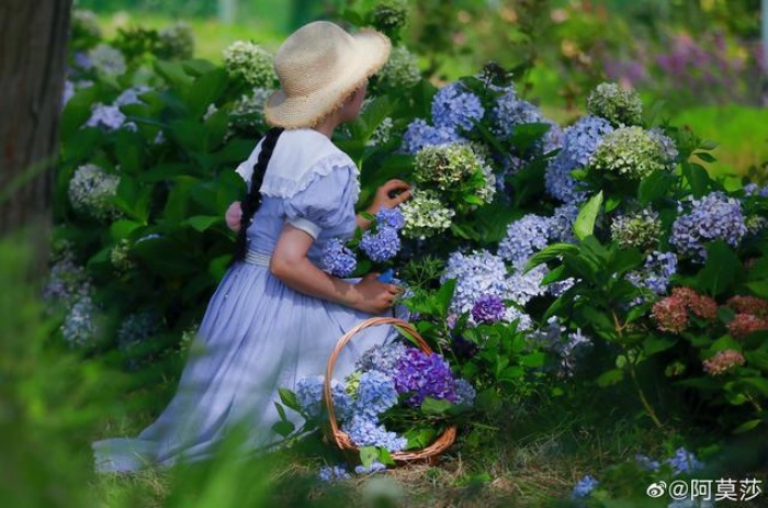 Cô gái trẻ bỏ phố về sống những ngày đẹp như mộng khi cải tạo mảnh đất trên núi thành khu vườn ngập tràn sắc hoa - Ảnh 10.