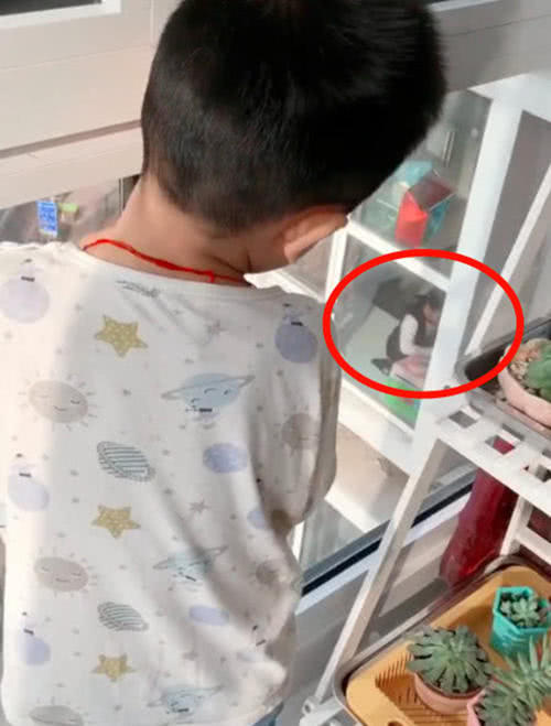 Mẹ gọi mãi con trai không chịu vào ăn cơm mà đứng ngẩn ngơ nhìn qua cửa kính, cô tò mò đến gần kiểm tra thì "câm nín" khi biết nguyên do - Ảnh 2. Mẹ gọi mãi con trai không chịu vào ăn cơm mà đứng ngẩn ngơ nhìn qua cửa kính, cô tò mò đến gần kiểm tra thì "câm nín" khi biết nguyên do - Ảnh 2.