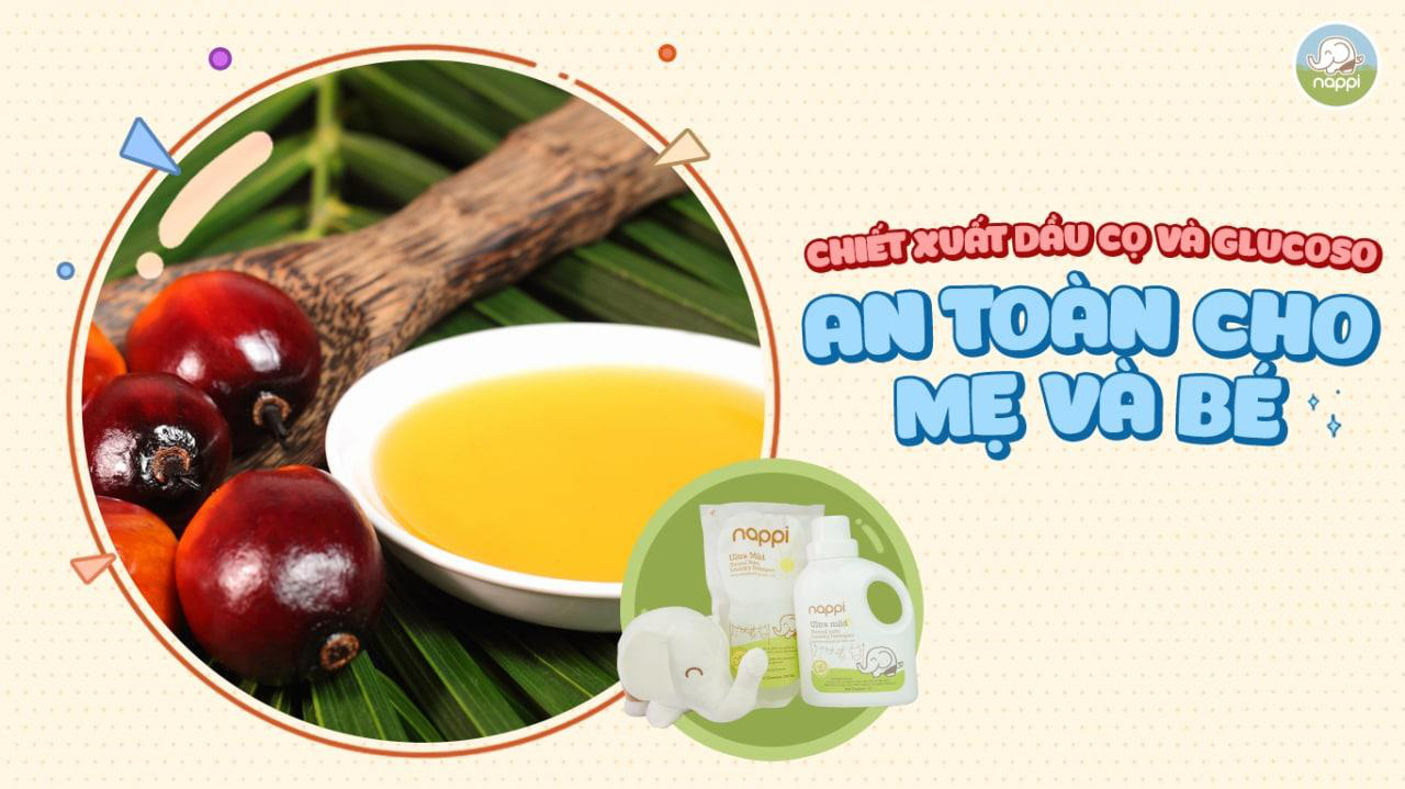 Ra mắt sản phẩm Nước Giặt Dầu Cọ Nappi 100% thành phần từ thiên nhiên - Ảnh 3. Ra mắt sản phẩm Nước Giặt Dầu Cọ Nappi 100% thành phần từ thiên nhiên - Ảnh 3.