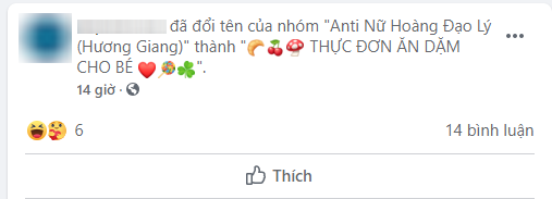 Thật như đùa: Group anti Hương Giang gần 20k thành viên bất ngờ đổi tên, antifan thất vọng khi mò vào toàn thấy kinh nghiệm nuôi dạy con - Ảnh 3.