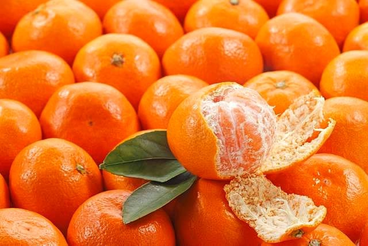 марокко апельсины