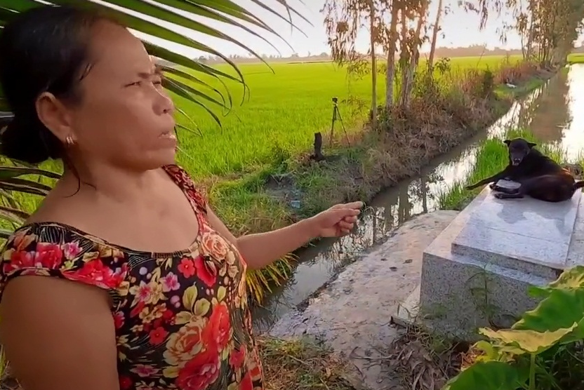 Kỳ lạ chuyện chú chó ở miền Tây quấn quýt bên mộ chủ suốt 3 năm không rời: "Ai cho nó đồ ăn nó cũng đem ra để trước mộ, trừ khi mưa thôi còn nắng ráo là cứ nằm đó" - Ảnh 3. Kỳ lạ chuyện chú chó ở miền Tây quấn quýt bên mộ chủ suốt 3 năm không rời: "Ai cho nó đồ ăn nó cũng đem ra để trước mộ, trừ khi mưa thôi còn nắng ráo là cứ nằm đó" - Ảnh 3.