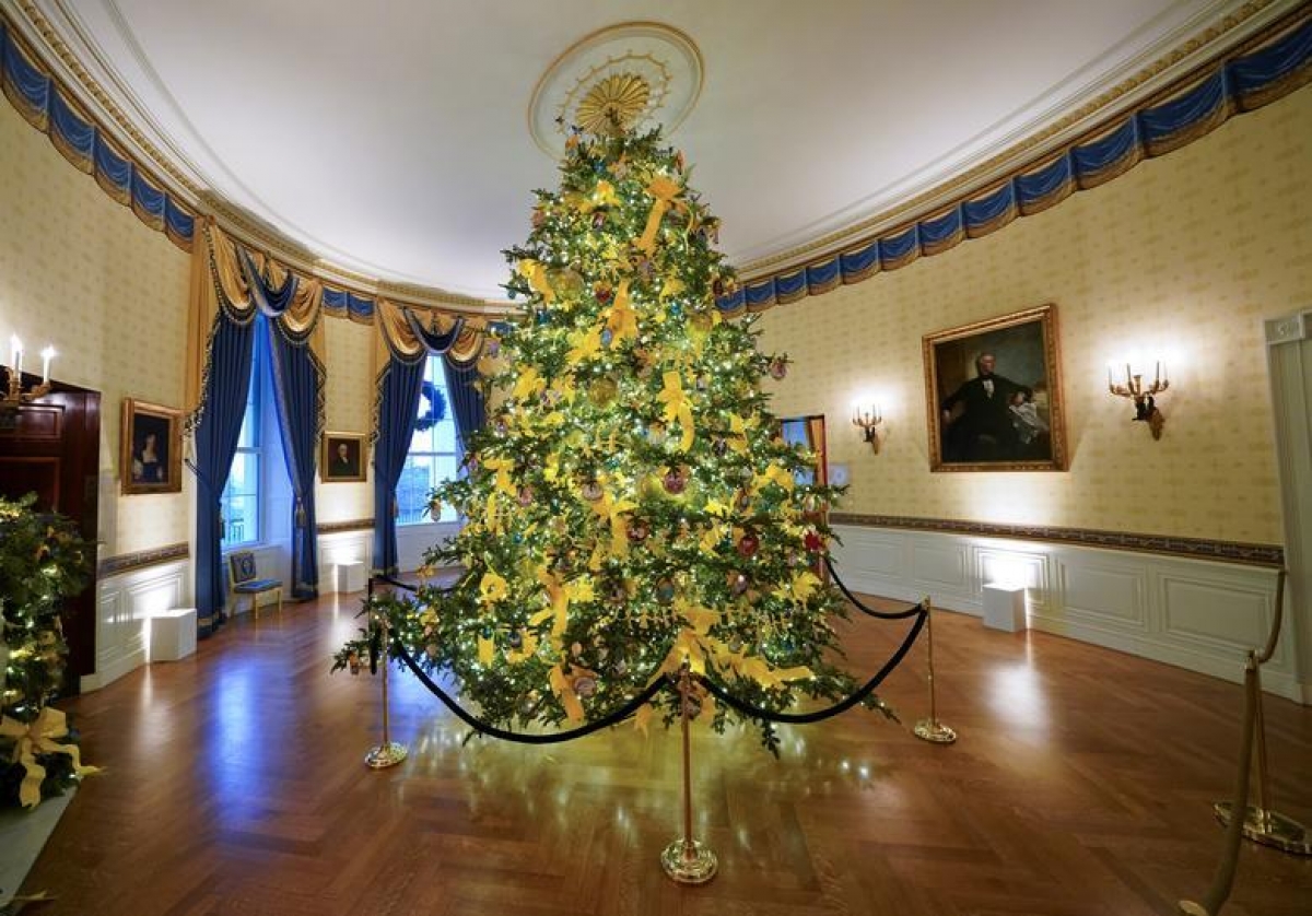 Nhà Trắng trang trí lộng lẫy đón Giáng sinh 2020 - Ảnh 8.